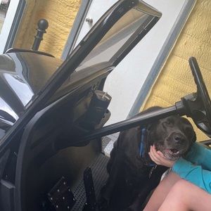 Meet your Posher, Lanie